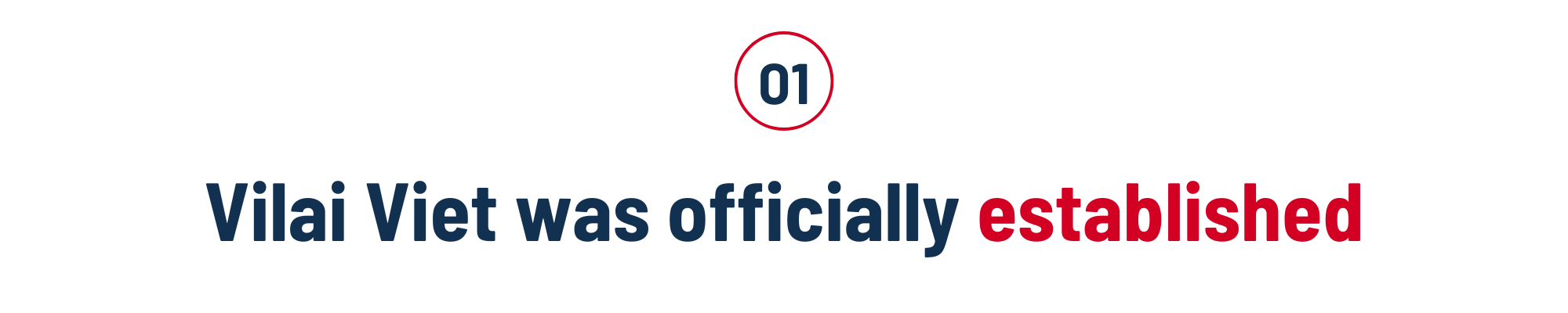 Vilai Viet was officially established in 2012